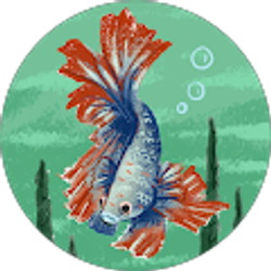 Profile photo of Kim LaBarbera