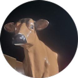 Profile photo of RD_6905