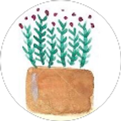 Profile photo of Kim Violano