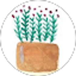 Profile photo of Kim Violano