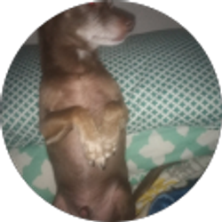 Profile photo of robin Moyer