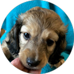 Profile photo of Rob Cantrell