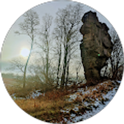 Profile photo of ANDREW K