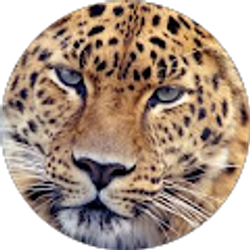 Profile photo of Mark Crump