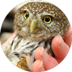 Profile photo of Lisa Newell