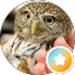 Profile photo of Lisa Newell