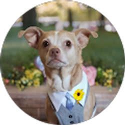 Profile photo of Melissa K