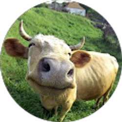 Profile photo of Lily Maskew