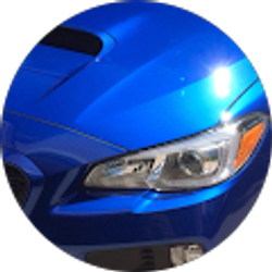 Profile photo of Shalafish