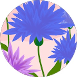 Profile photo of Z B