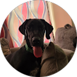 Profile photo of Kelly Gustafson