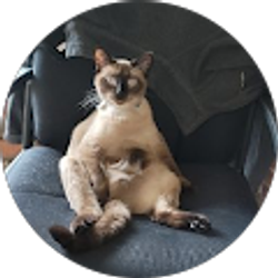 Profile photo of Trinity Trouten