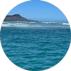 Profile photo of Tracy Fowler