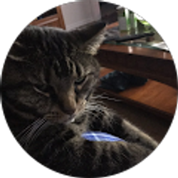 Profile photo of avl4005