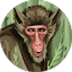 Profile photo of Paul Dye