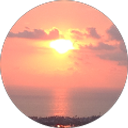 Profile photo of EDUARDO FORTINI