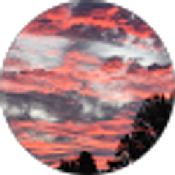 Profile photo of Kiera Clouser