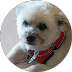 Profile photo of jon gustafson