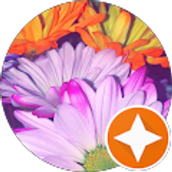 Profile photo of Evelynn G