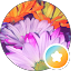 Profile photo of Evelynn M