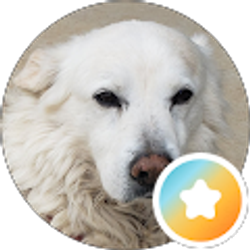 Profile photo of Stan Duncan