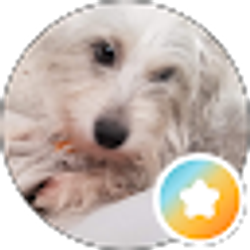 Profile photo of CoCo Chanelle