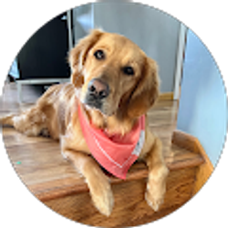 Profile photo of Melissa