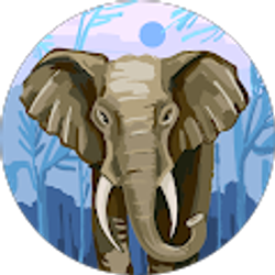 Profile photo of Sarith Nhiev