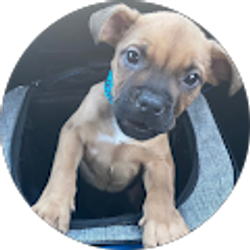 Profile photo of timothy humphries