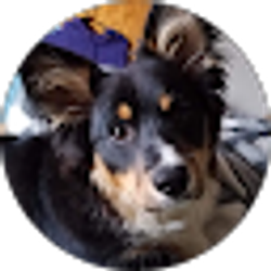 Profile photo of Brayson Torgeson