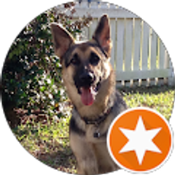 Profile photo of Devon San Filippo