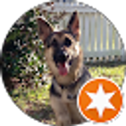 Profile photo of Devon San Filippo