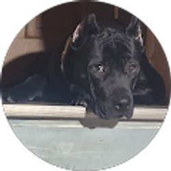 Profile photo of Evan Bennett