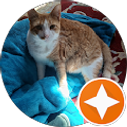 Profile photo of Vilda Olsen