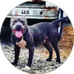 Profile photo of jeff Bromley