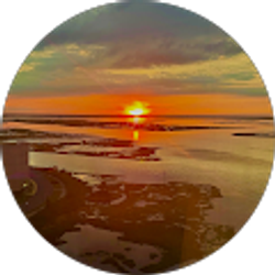 Profile photo of Carl Landi