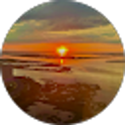 Profile photo of Carl Landi