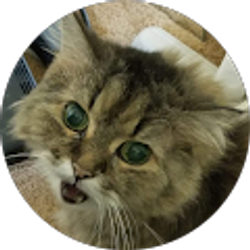 Profile photo of LaTasha “Cookie Crumbs” Strahan