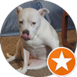 Profile photo of Larry Holt