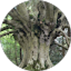 Profile photo of Mimi Wuest