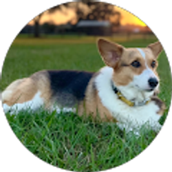 Profile photo of Lorena ONeill