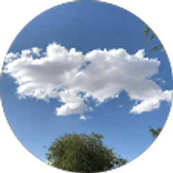 Profile photo of ali aguilar