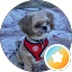 Profile photo of Eve