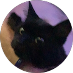 Profile photo of Tucker Nape