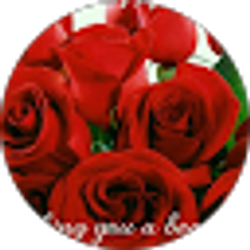 Profile photo of Godsblessings