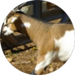 Profile photo of Karen Carothers