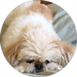 Profile photo of Mark Moody