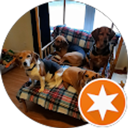 Profile photo of Shane Comings