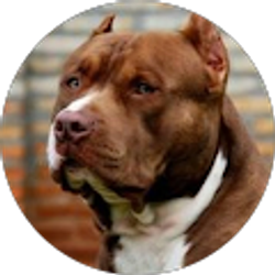 Profile photo of Brax Phillips