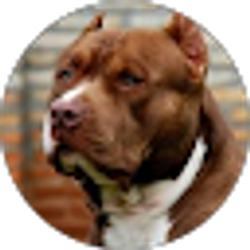 Profile photo of Brax Phillips